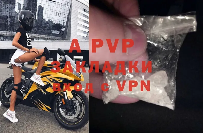 A PVP СК КРИС Почеп