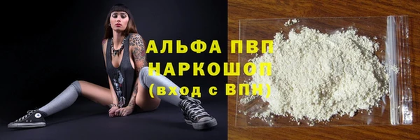 индика Аша