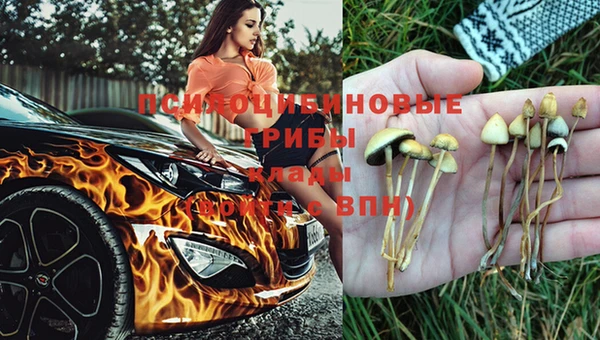 таблы Белая Холуница