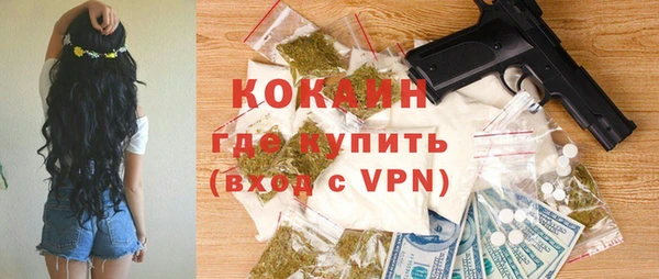 индика Аша