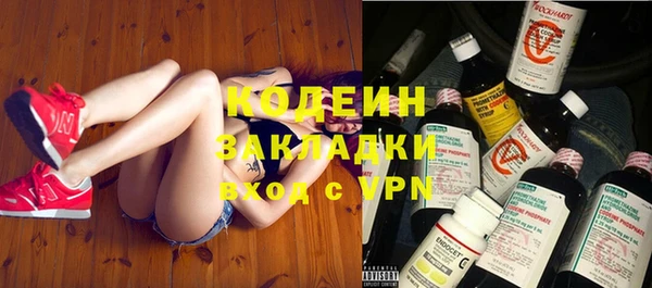 индика Аша