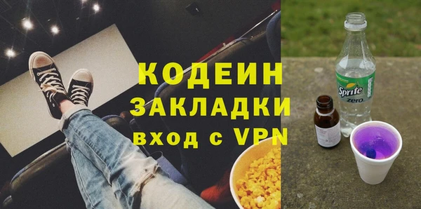 индика Аша